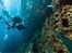 Google unveils new underwater ‘street views’