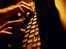 Surveillance of MPs’ data challenged