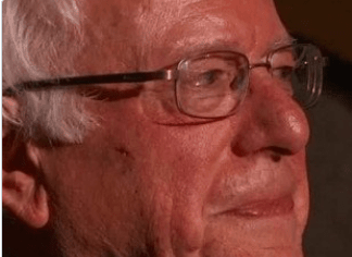 bernie sanders