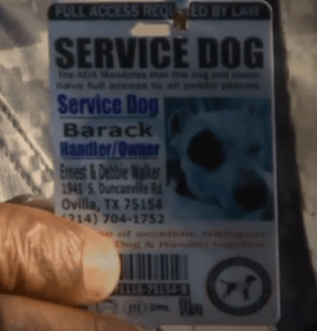 service dog identification