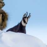 global warming evolution