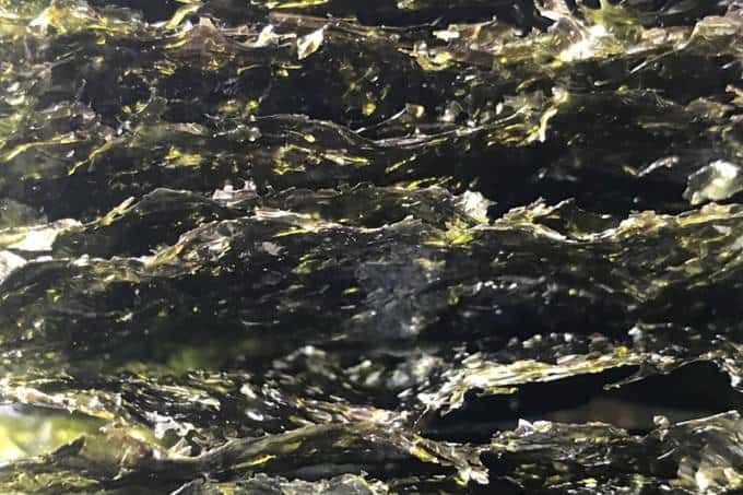 EarthTalk:  Is roasted seaweed a healthy idea for a green snack?
