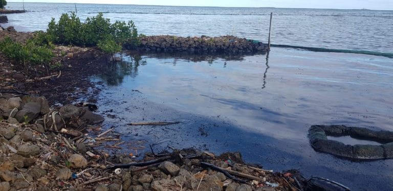 Ecologists blast government over Mauritius oil spill