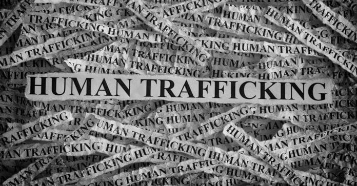 human trafficking plan