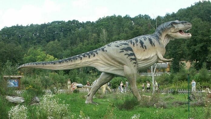 This is a photo of Tyrannosaurus Rex on display in Baltow Poland, with people in the proximity