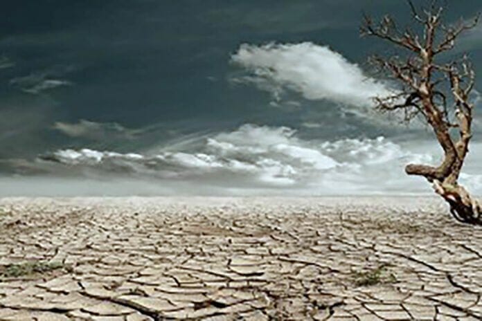 Image of desert on an overcast day