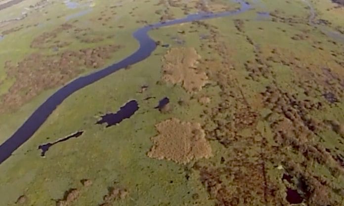 Aerial shot of Kissimmee River