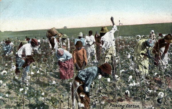 colorized photo of slaves picking cotton in Florida