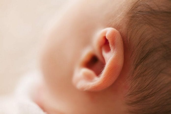 A new smartphone app can accurately diagnose ear infections using artificial intelligence. PHOTO BY BURST/PEXELS 