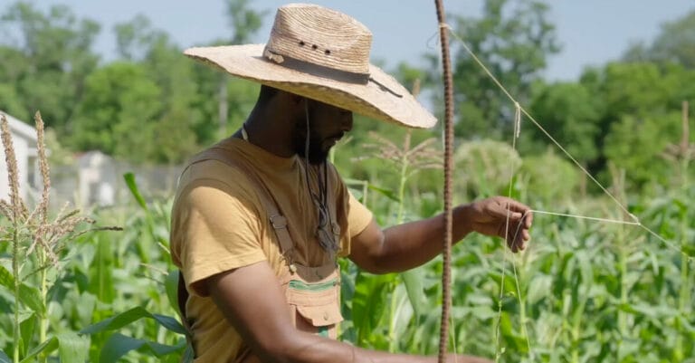 From the Farm to Emeril’s Kitchen: Farmer Jones Delivers the Best Collards and Produce